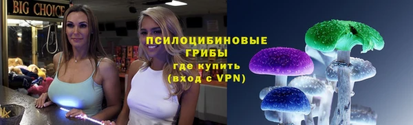 PSILOCYBIN Краснослободск