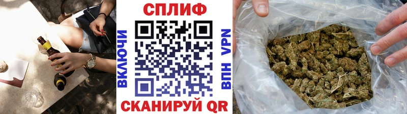 Бошки марихуана конопля Сортавала